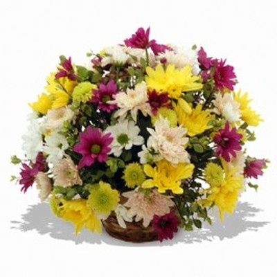 Mums the word Daisy Basket